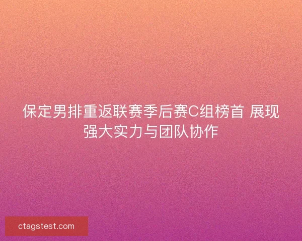 保定男排重返联赛季后赛C组榜首 展现强大实力与团队协作